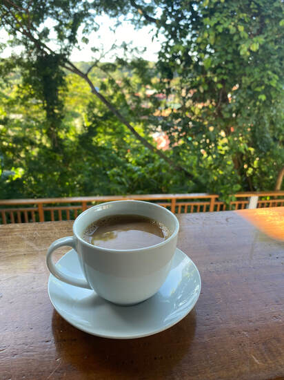 A coffee cup with the jungle behind. 